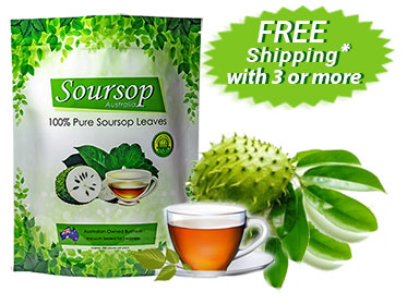 Soursop Leaves