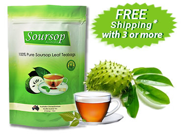 Soursop Teabags